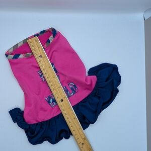 Pink and Blue Ruffled Dog Dress